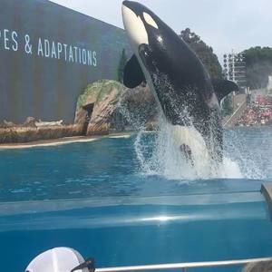 Meet your Posher, Raquel